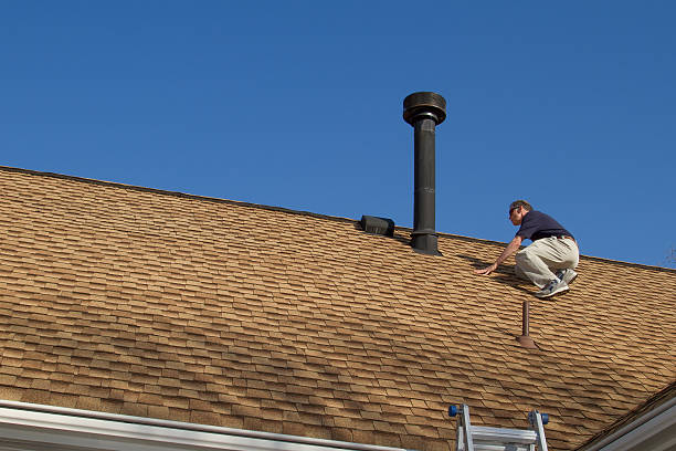 Best Roof Coating and Sealing  in Kenworth, IL